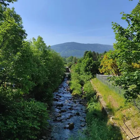 Fiona4 Centrum700m Parking Bezplatny Monitorowany Salon Z Sypialnia Tv Lazienka Kuchnia Rekuperacja Lejlighed