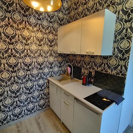 Lejlighed Fiona4 Centrum700m Parking Bezplatny Monitorowany Salon Z Sypialnia Tv Lazienka Kuchnia Rekuperacja Karpacz