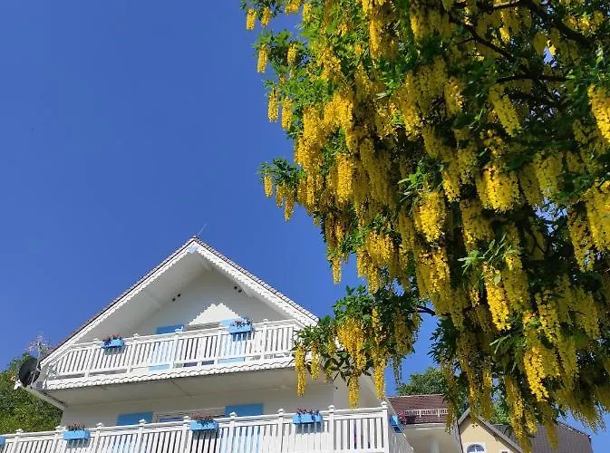 Apartment Fiona4 Centrum700m Parking Bezplatny Monitorowany Salon Z Sypialnia Tv Lazienka Kuchnia Rekuperacja Karpacz