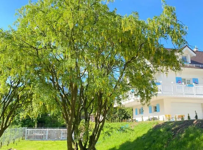 Apartament Fiona4 Centrum700m Parking Bezpłatny Monitorowany Salon Z Sypialnią Tv łazienka Kuchnia Rekuperacja Karpacz